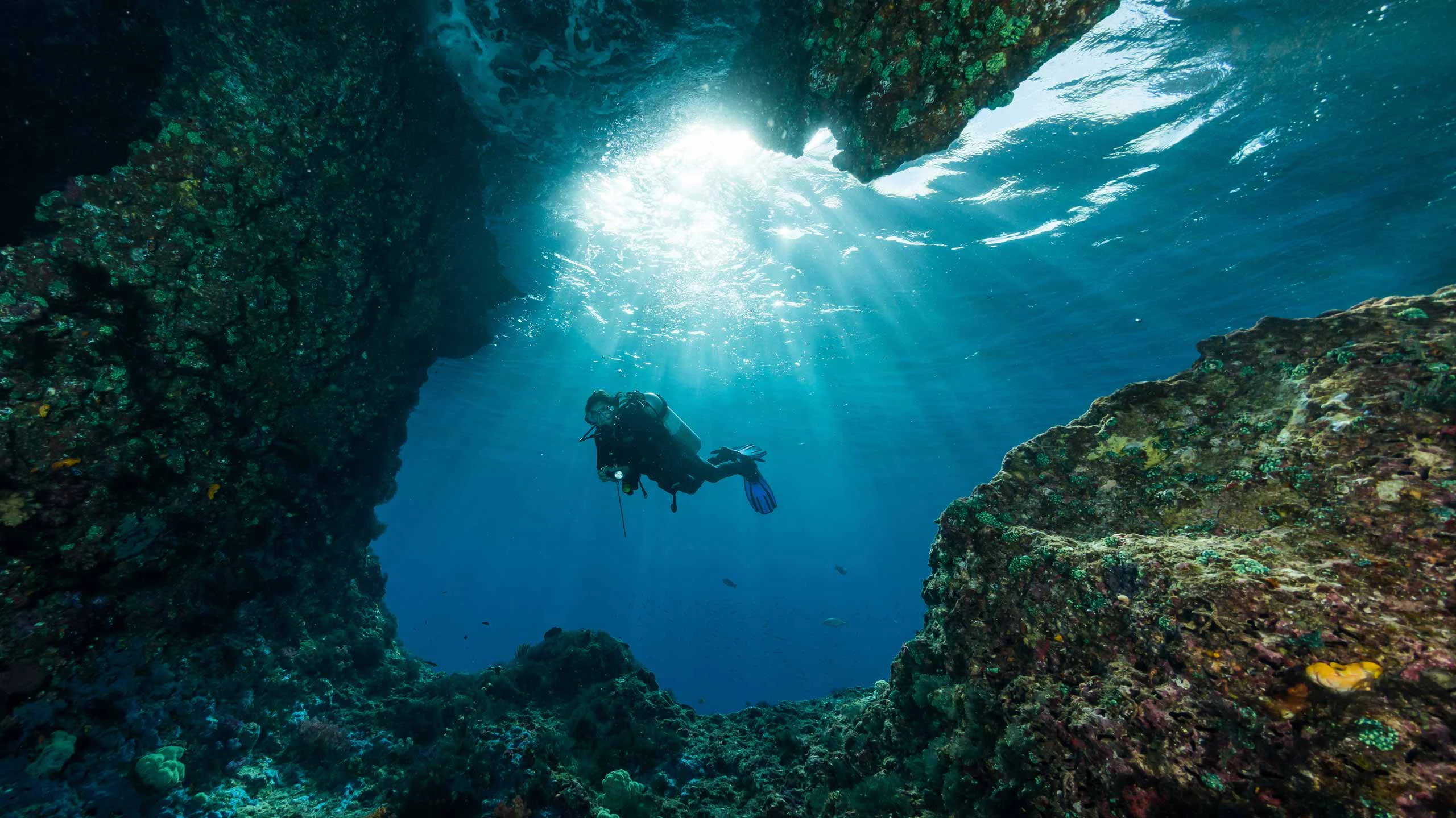 Diving in Indonesia