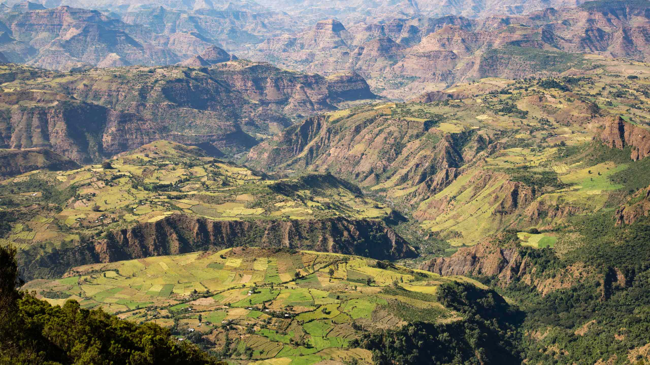 Simien Mountains in Ethiopia