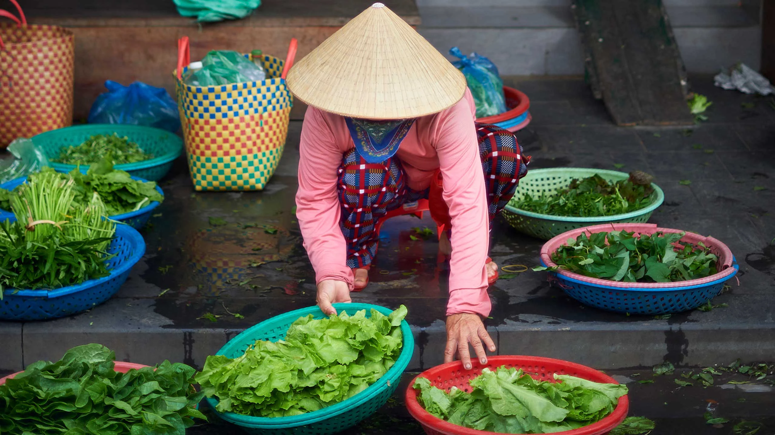 Vietnamese lady preparing salad leaves in Hoi An, Vietnam