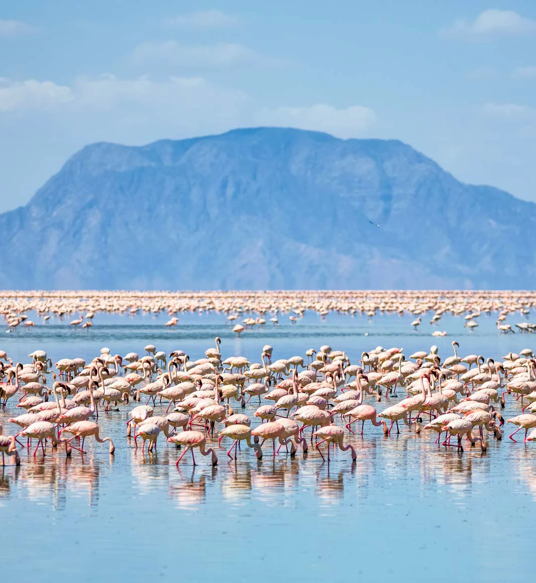 Lake Natron and flamingos in Tanzania