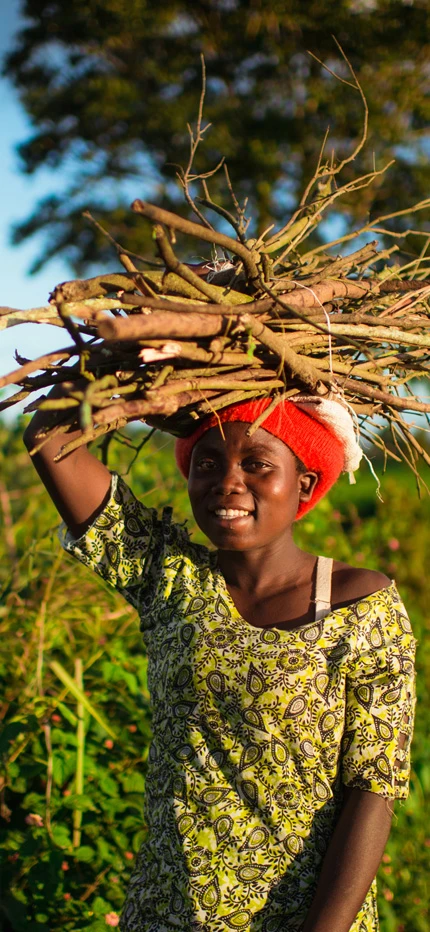 Malawi women carrying pile of sticks