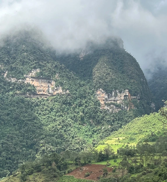 Cloud Forest in Chachapoyas in Peru