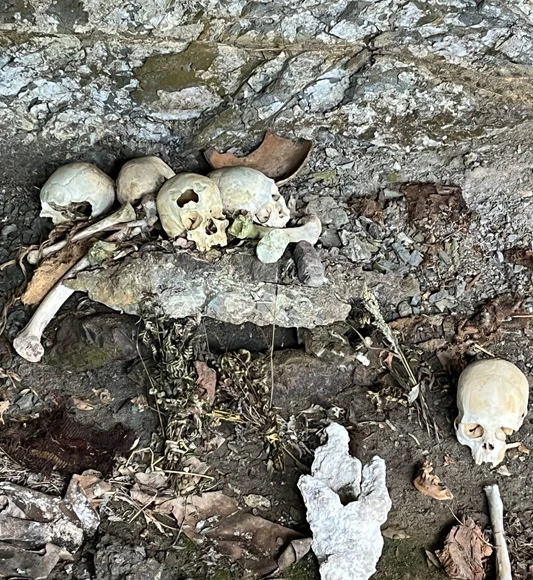 Human remains at El Tigre