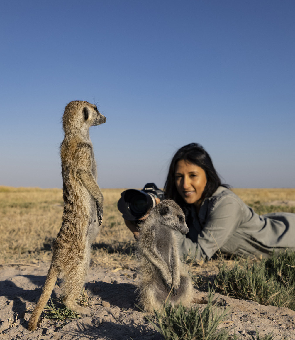 Botswana - San camp - meerkat experience - Natural Selection