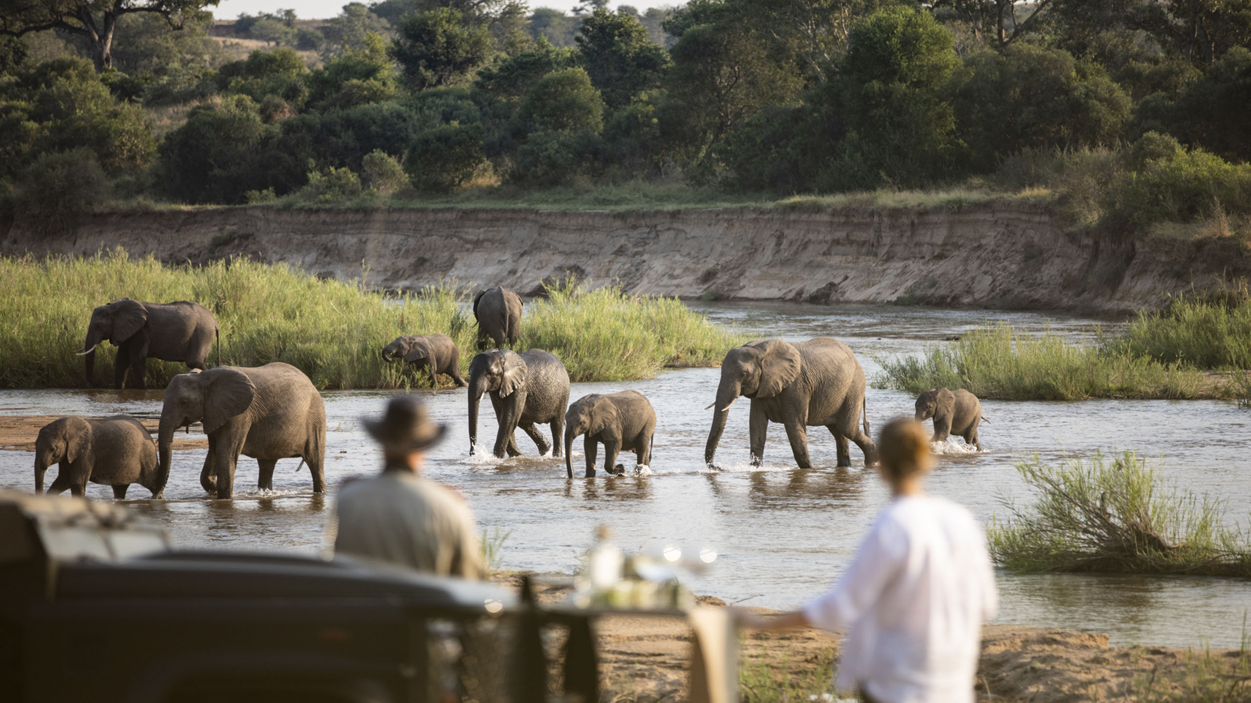 South Africa Mala Mala Sable Camp Rattrays - elephants at river