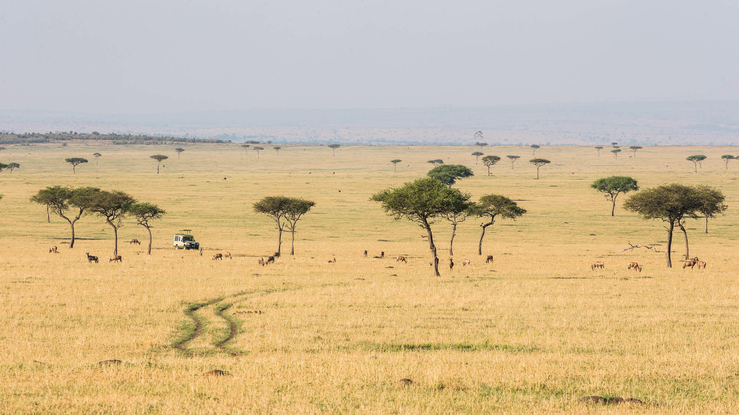 Tanzania Serengeti plains Songa Tented Camp