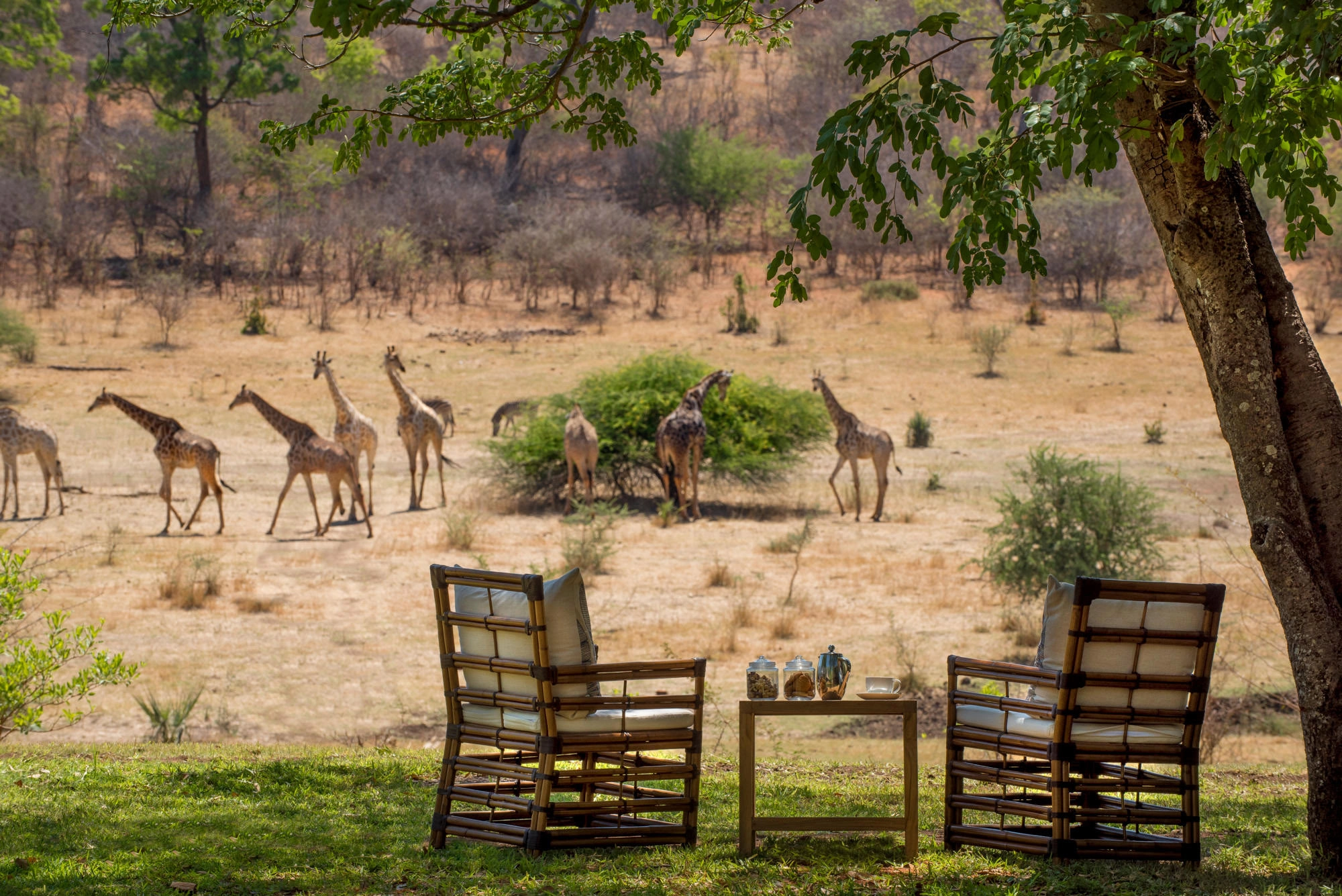 Zimbabwe Stanley and Livingstone Hotel view from camp