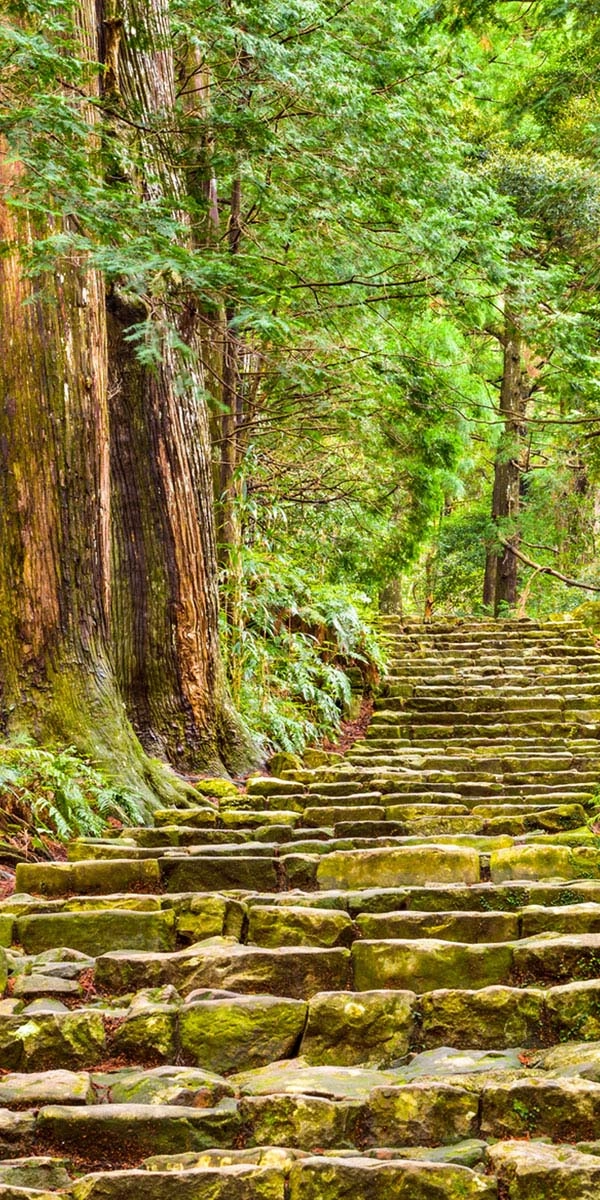 Steps through the forest on the Kumano Kodo trail near Nachi, Wakayama, Japan