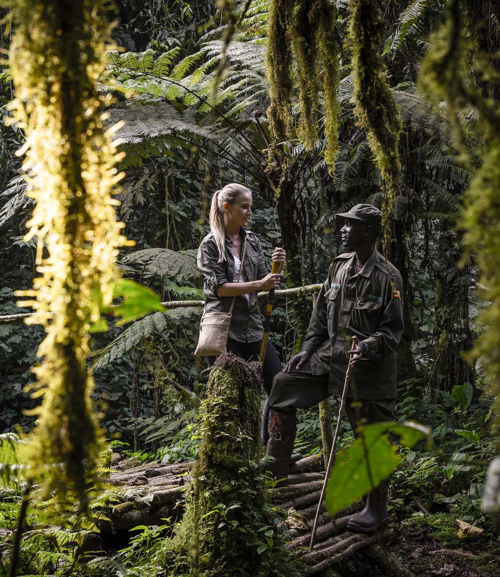 gorilla trekking in bwindi forest with guides