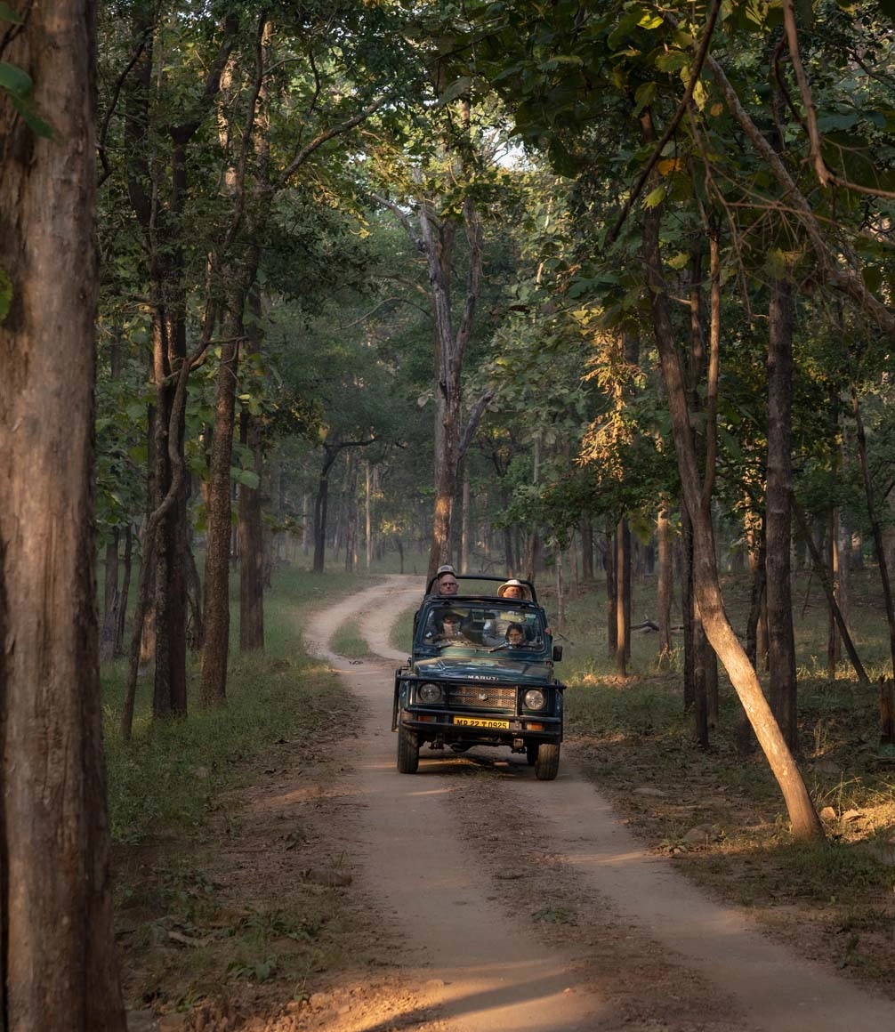 Pench tiger safari jeep in the forest