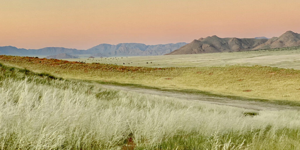 namibia desert in the green season