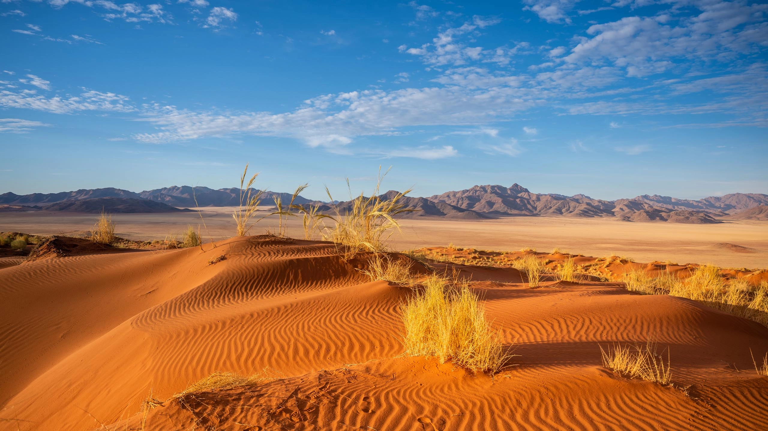 landscape of the namib desert namibia