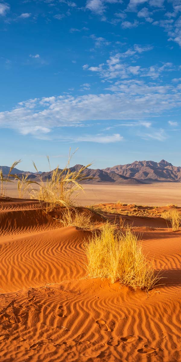 namibia safari landscape of the namib desert