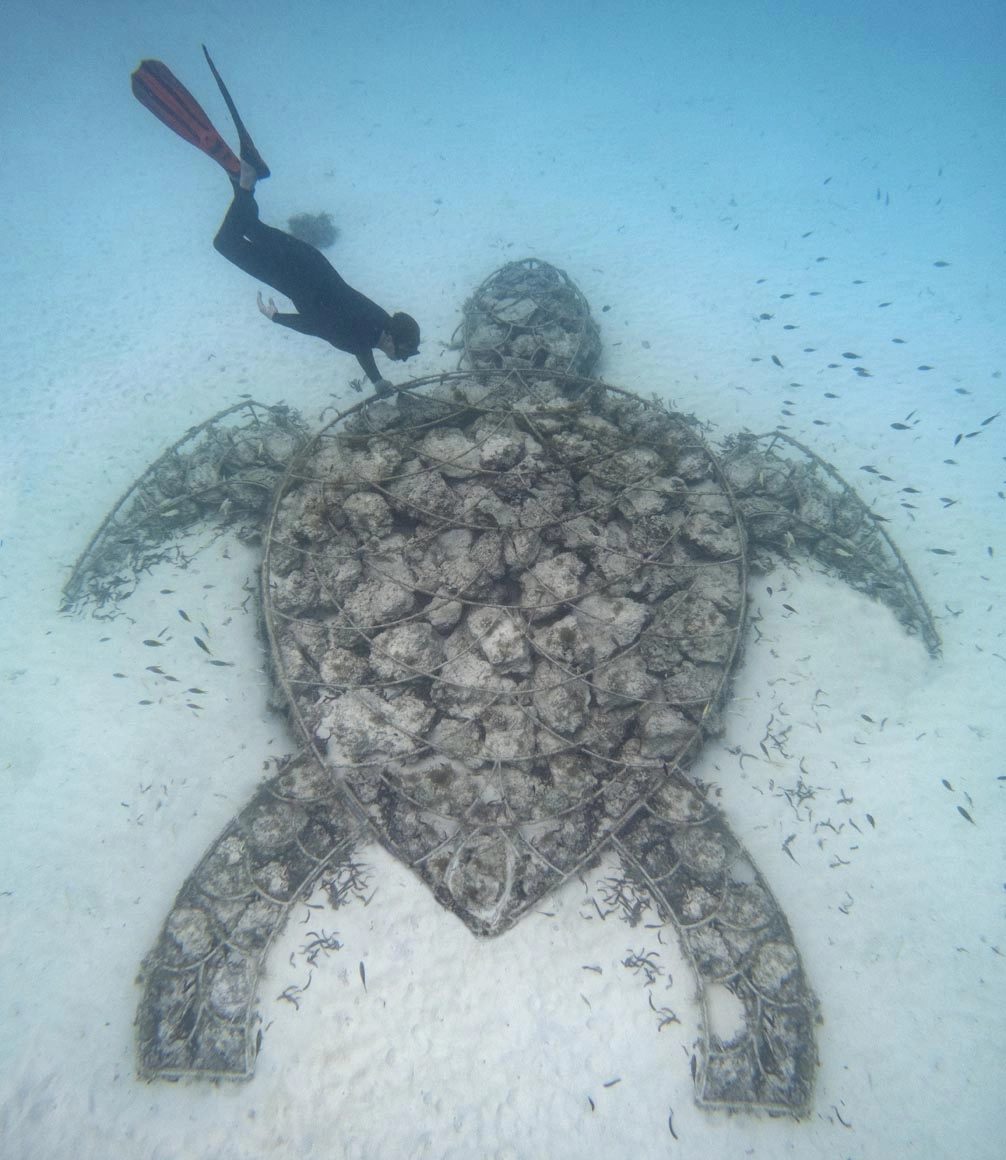 scuba diver and artificial coral at mnemba island