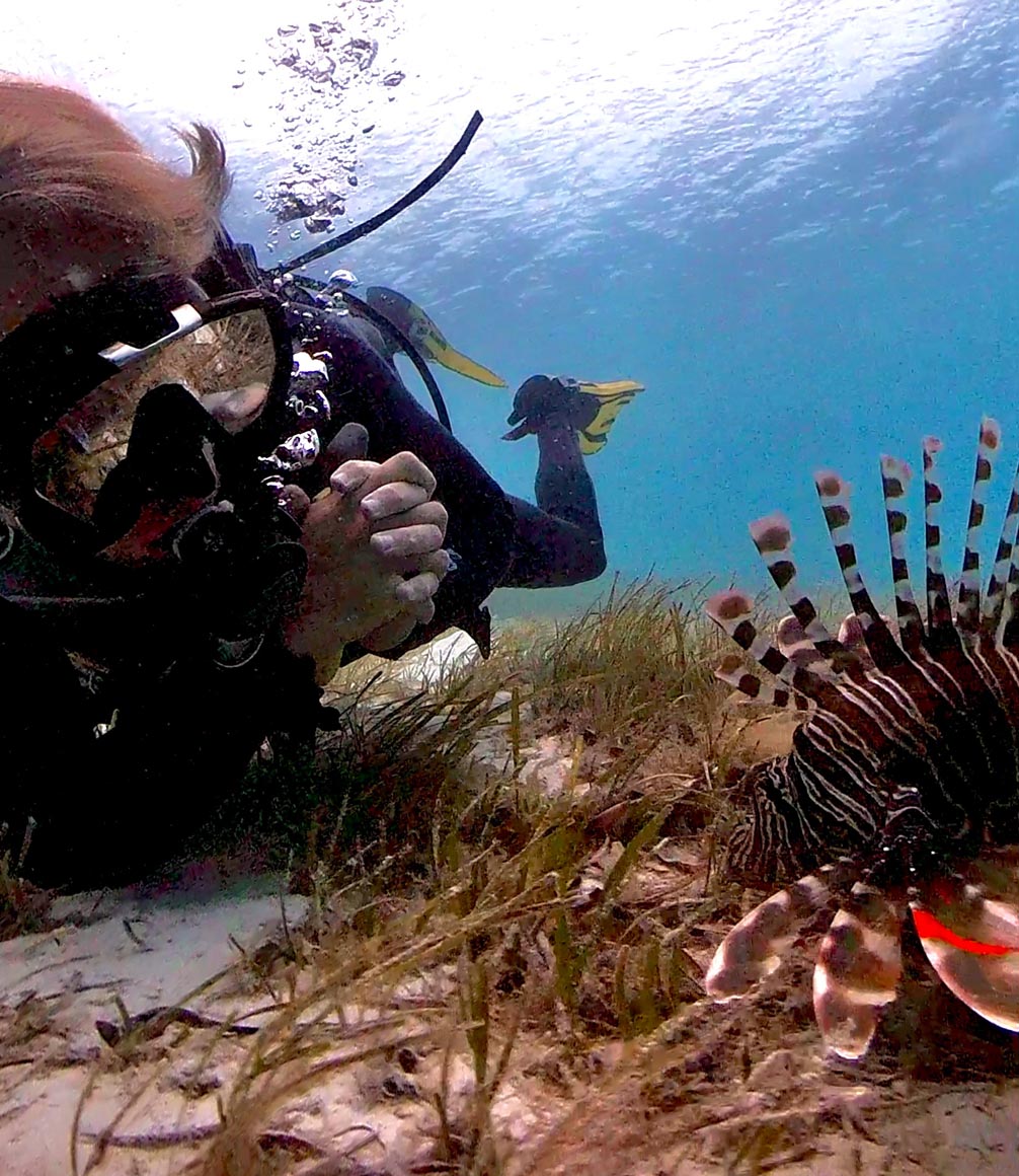 scuba diving with marine life mnemba island