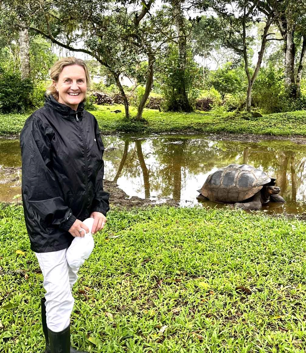 Meeting giant tortoises of galapagos