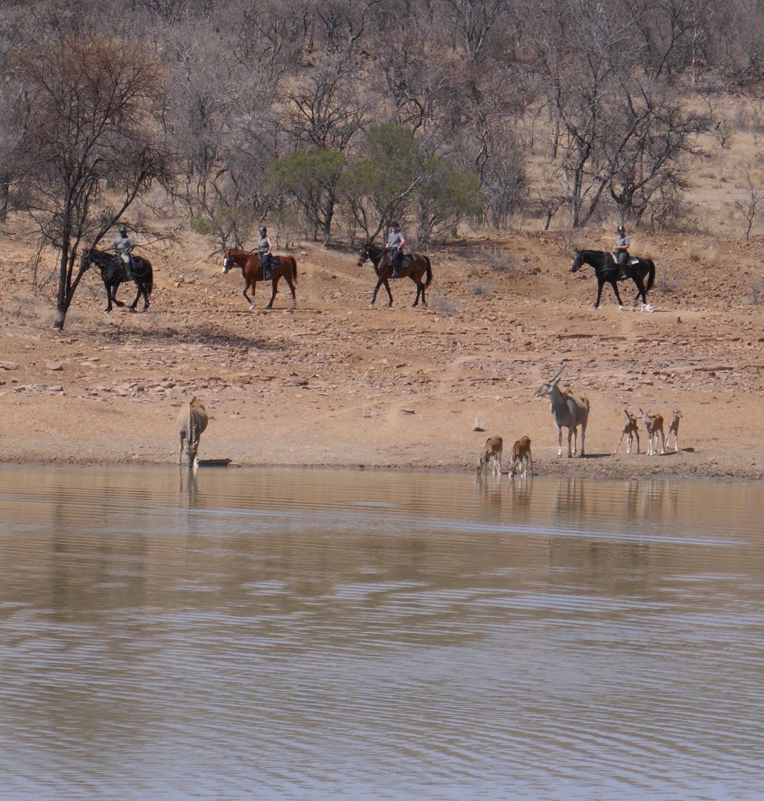 Riding at Ant's Nest in South Africa