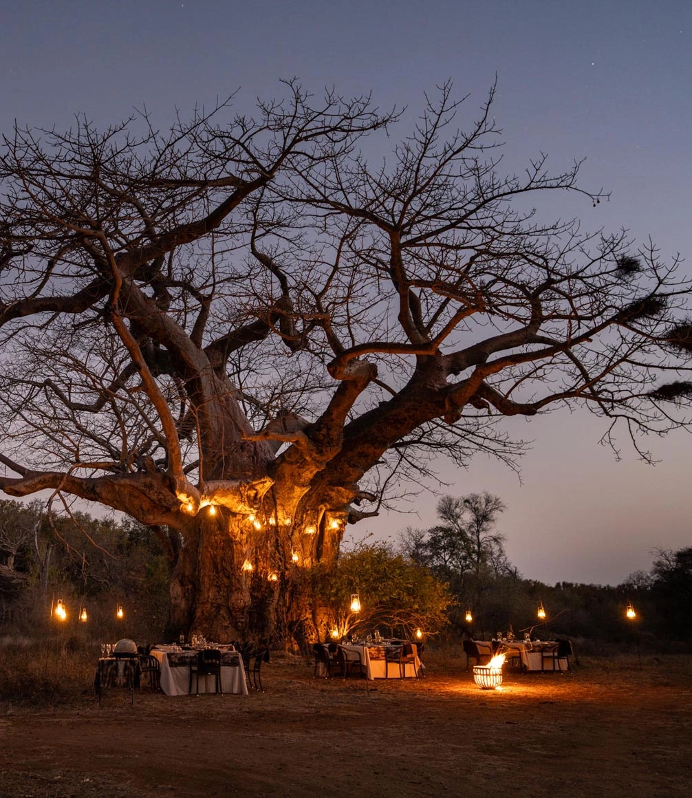 zimbabwe-pamushana-dinner-at-baobab