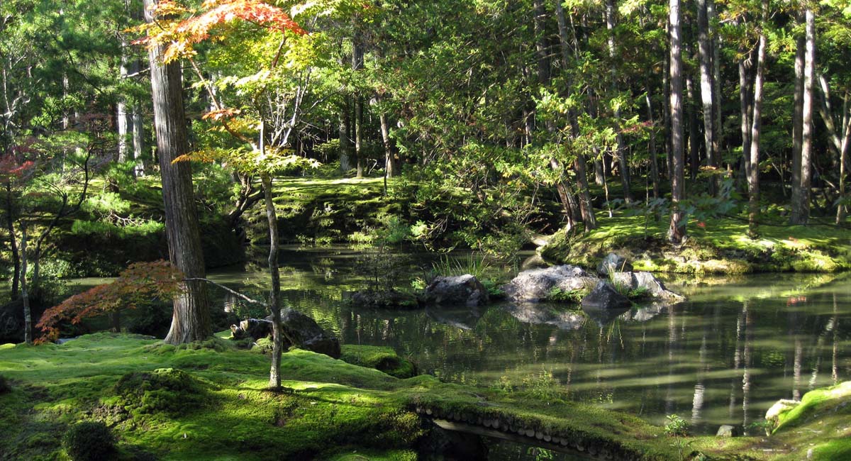 saiho ji moss garden in kyoto