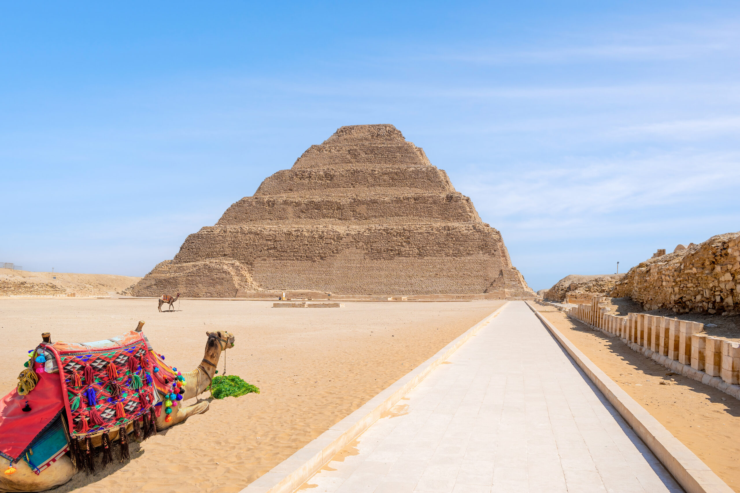 camels at the step pyramid of saqqara