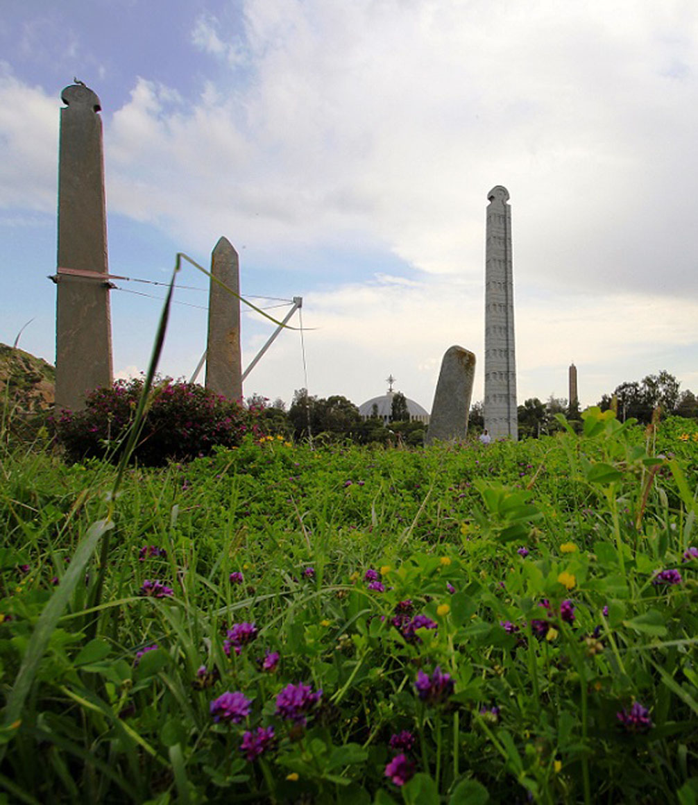 axum field of stelae