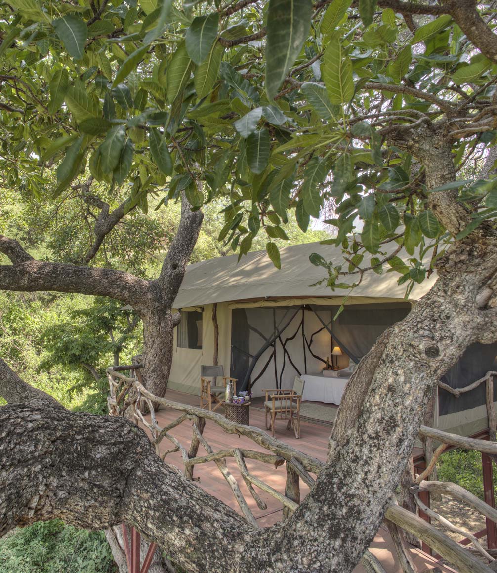 sarara camp treehouse rooms