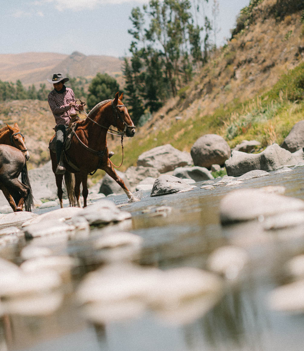 horseriding in colca canyon