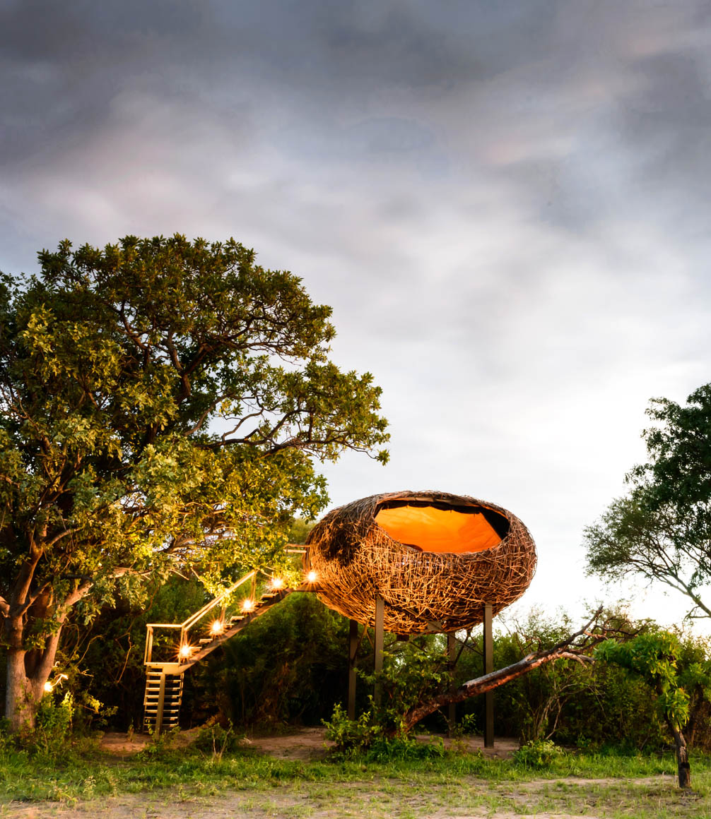 raised nest suites at chisa busanga camp