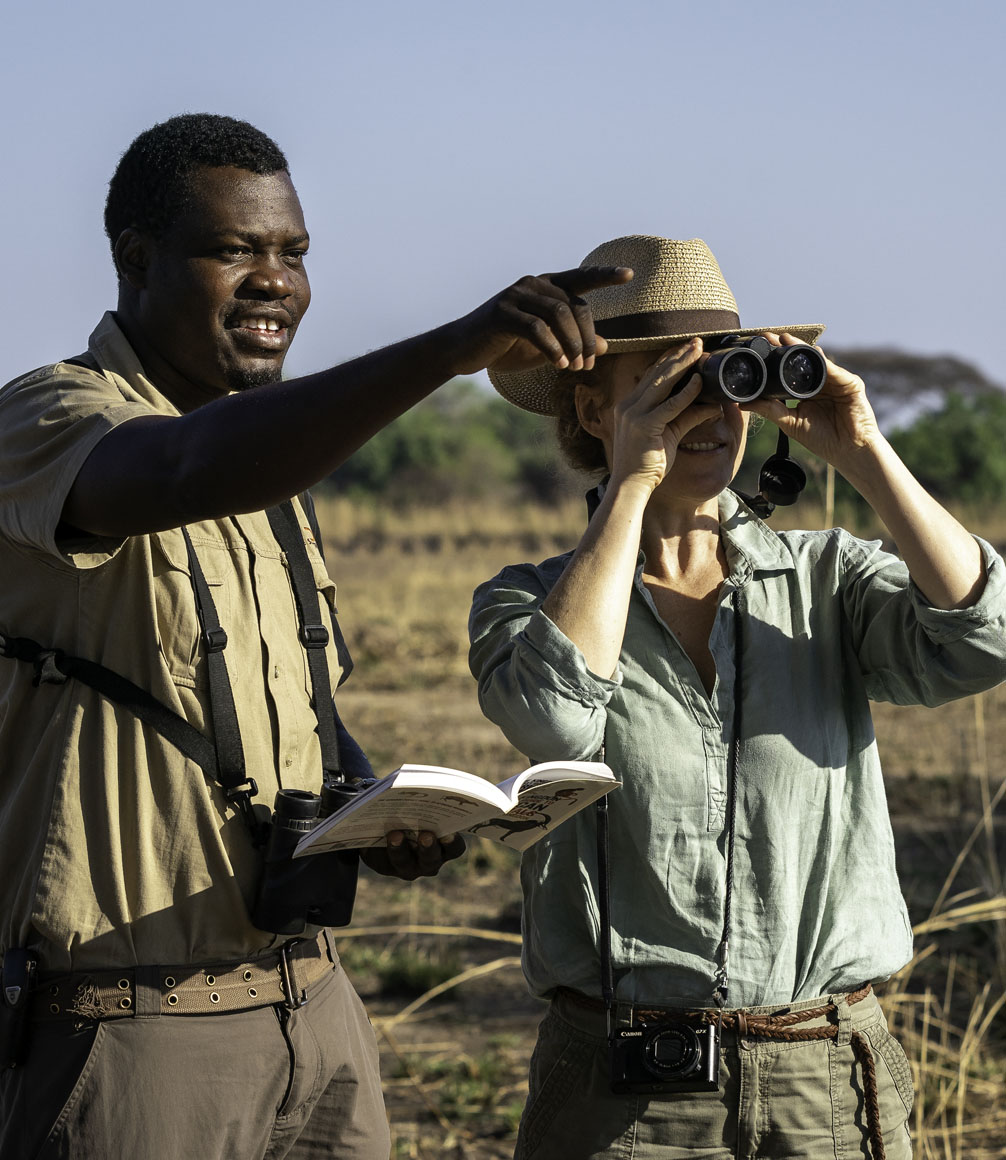 wildlife spotting on a walking wildlife safari